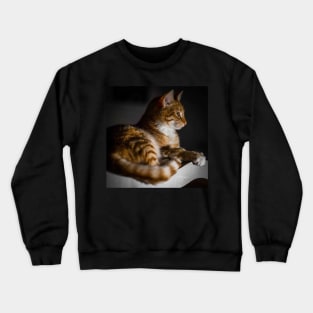 Weasley the ginger tabby Crewneck Sweatshirt